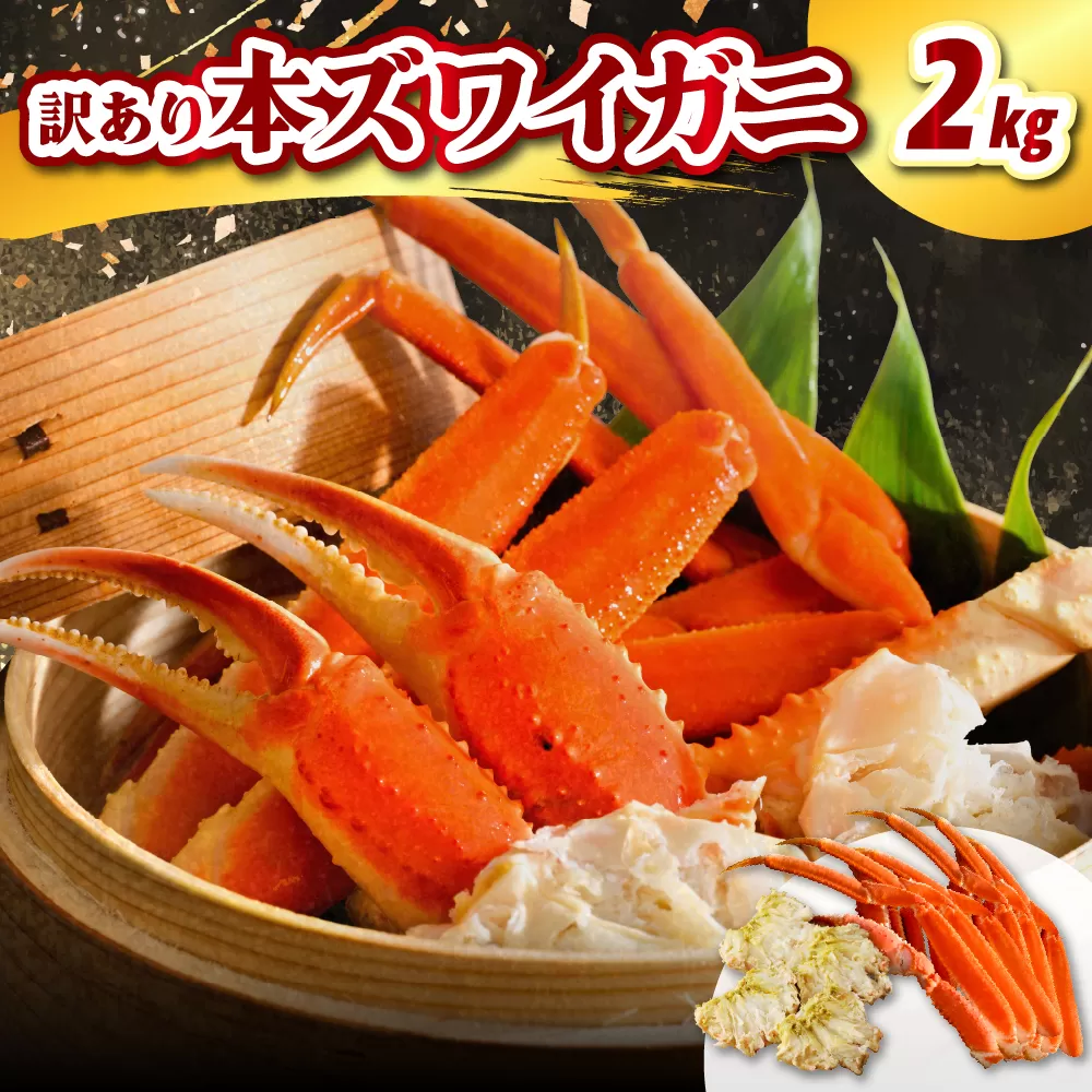 訳アリ本ズワイガニ（2kg）【er021-009】蟹 かに カニ脚 足 ボイル 茹で わけあり 規格外 不揃い 魚介 魚介類 海鮮 海の幸 海産物 冷凍 お取り寄せ 送料無料 北海道 えりも町