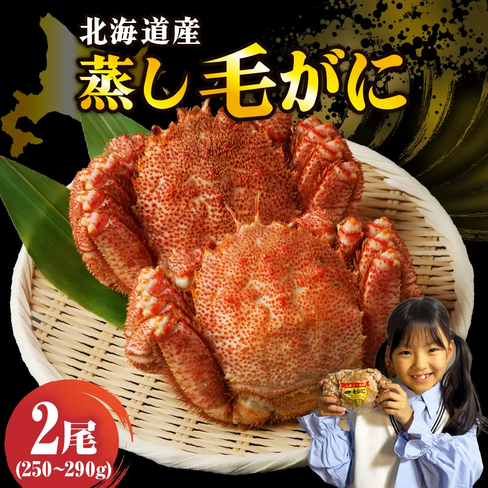 北海道産活蒸し毛蟹約250g～約290g×2尾【er001-108-a】