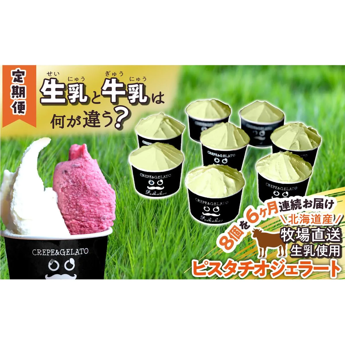 ＜6ヶ月定期便＞北海道産 生乳 ジェラート アイス ピスタチオ 毎月8個  ジェラートセット