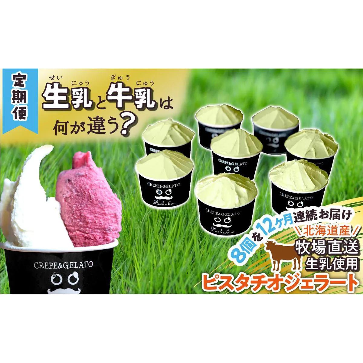 ＜12ヶ月定期便＞北海道産 生乳 ジェラート アイス 毎月8個 ピスタチオ