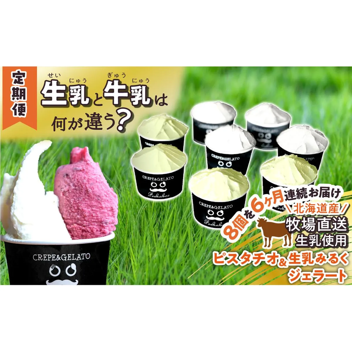 ＜6ヶ月定期便＞北海道産 生乳 ジェラート アイス 毎月8個 ピスタチオ ＆ 生乳ミルク 各4個  詰め合わせ ジェラートセット
