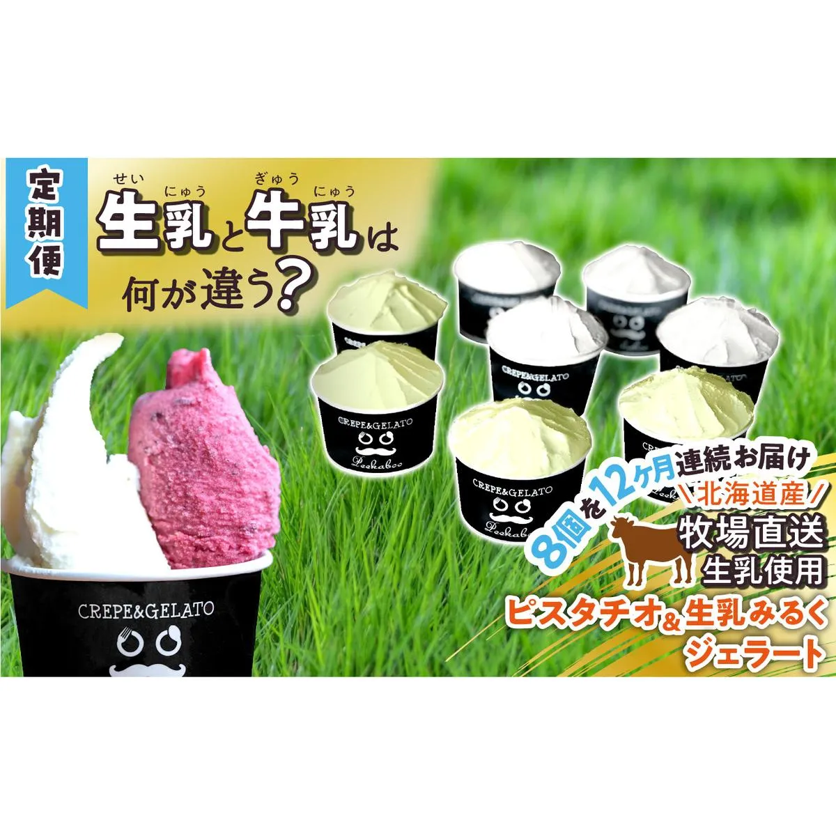 ＜12ヶ月定期便＞北海道産 生乳 ジェラート アイス 毎月8個 ピスタチオ ＆ 生乳ミルク 各4個  詰め合わせ ジェラートセット