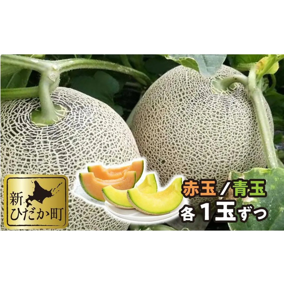 ＜ 2026年7月中旬より発送 ＞ 北海道産 メロン 赤肉 青肉 各1玉 食べ比べ セット ＜ 予約受付 ＞