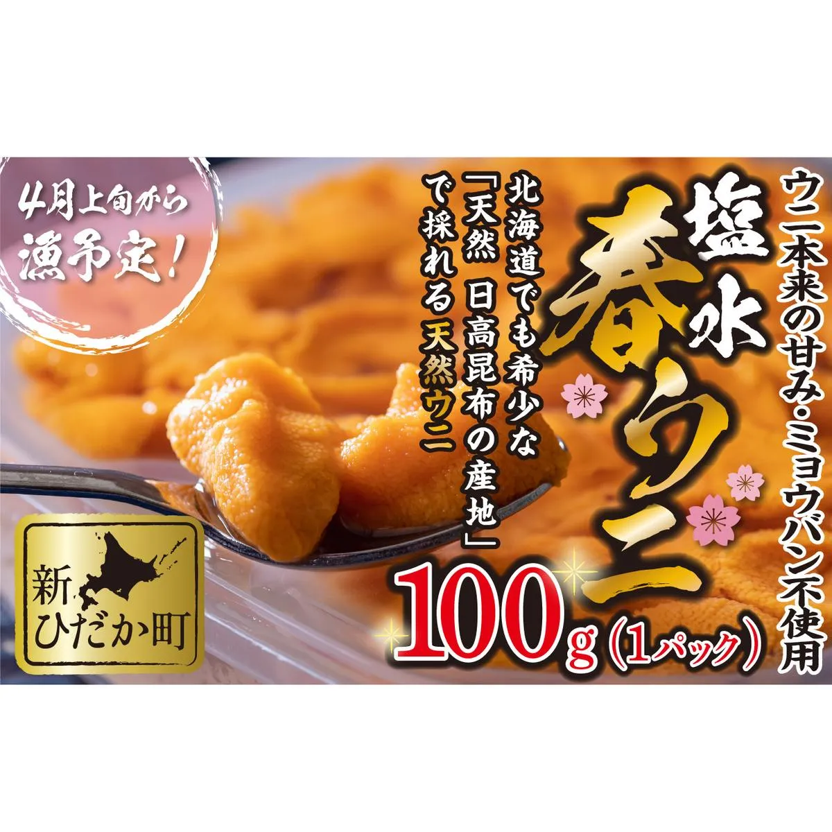 ＜ 2026年4月上旬より発送 ＞ うに 北海道 100g 使用するのは塩水のみ 日高沖産 塩水 生雲丹 春ウニ エゾバフンウニ ＜ 予約受付 ＞