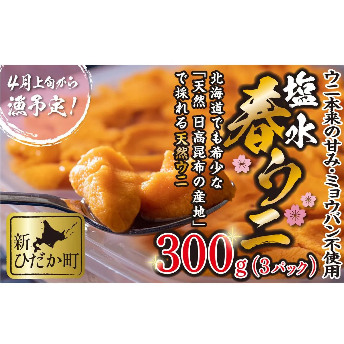 ＜ 2026年4月上旬より発送 ＞ うに 北海道 300g （ 100g × 3パック ） 使用するのは塩水のみ 日高沖産 塩水 生雲丹 春ウニ エゾバフンウニ ＜ 予約受付 ＞