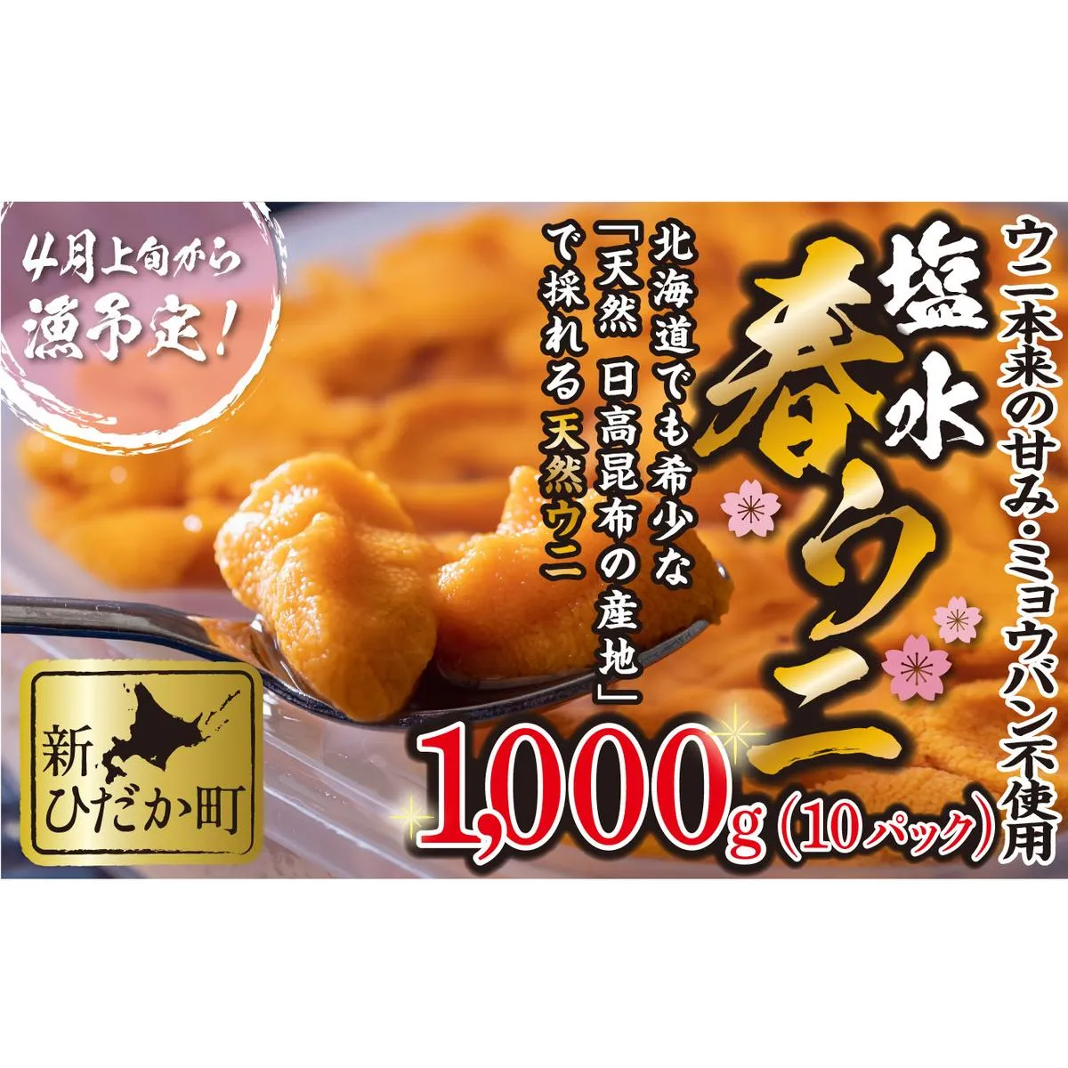 ＜ 2026年4月上旬より発送 ＞ うに 北海道 1,000g （ 100g × 10パック ） 使用するのは塩水のみ 日高沖産 塩水 生雲丹 春ウニ エゾバフンウニ ＜ 予約受付 ＞