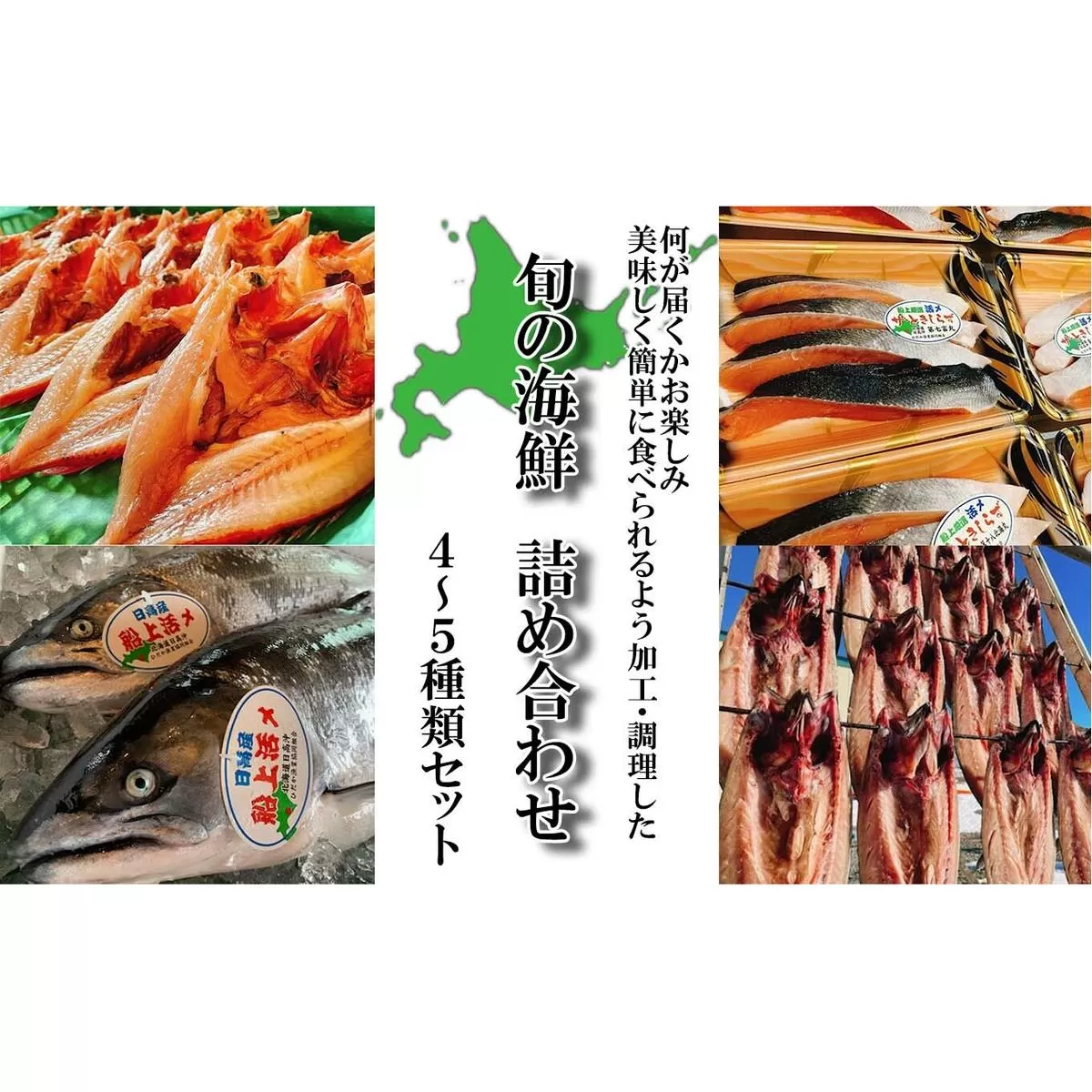 北海道産 旬のお魚 4～5種 お楽しみ詰め合わせ セット