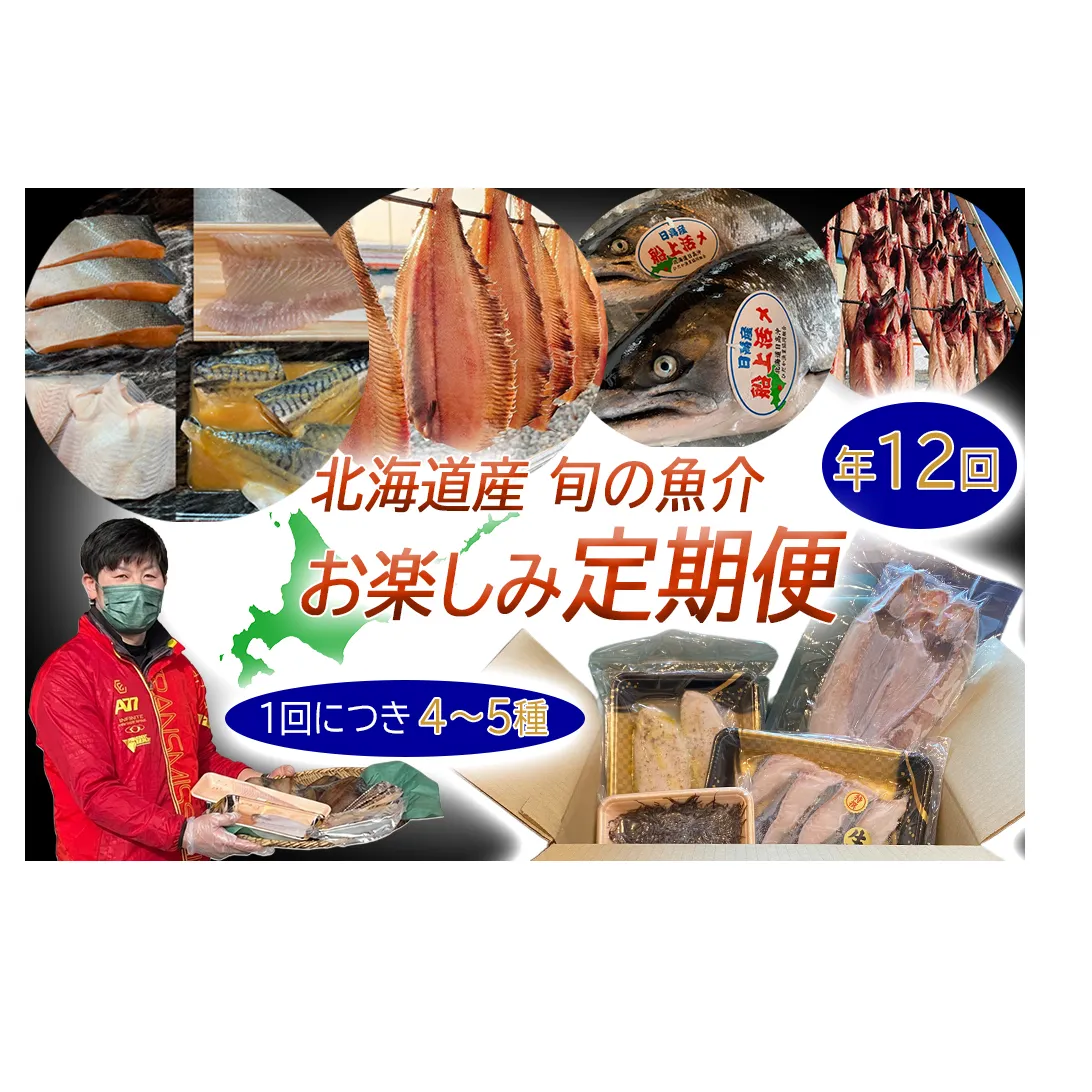 <定期便12回>北海道産 旬の魚介 4~5種 お楽しみ定期便