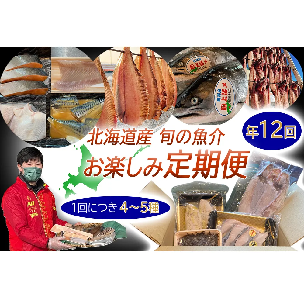 ＜定期便12回＞北海道産 旬の魚介 4～5種 お楽しみ定期便