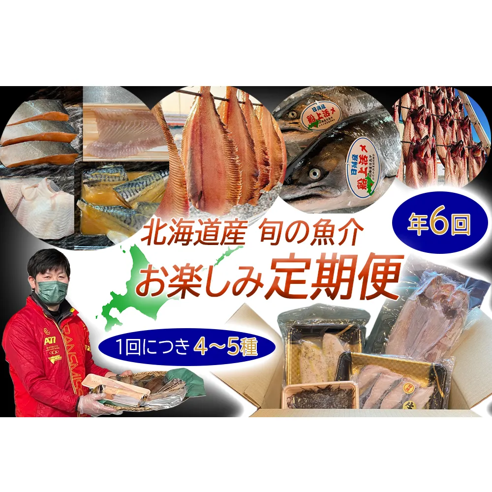 ＜定期便6回＞北海道産 旬の魚介4～5種 お楽しみ定期便