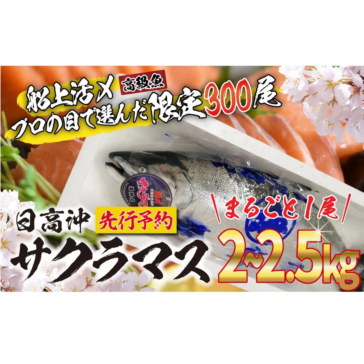 ＜2026年5月から順次発送＞ 北海道産 サクラマス 2～2.5kg まるごと 1尾 ＜予約商品＞ 