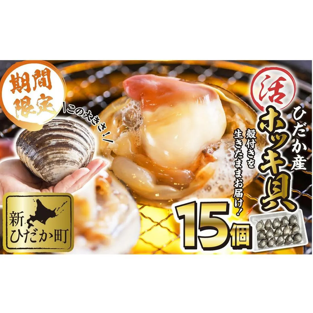 ＜ 11月中旬より順次発送 ＞ 北海道産 活ホッキ 貝 15個 ホッキ 北寄 北寄貝 貝 殻付き 海鮮 海産物 新鮮 旬 ＜ 予約受付 ＞