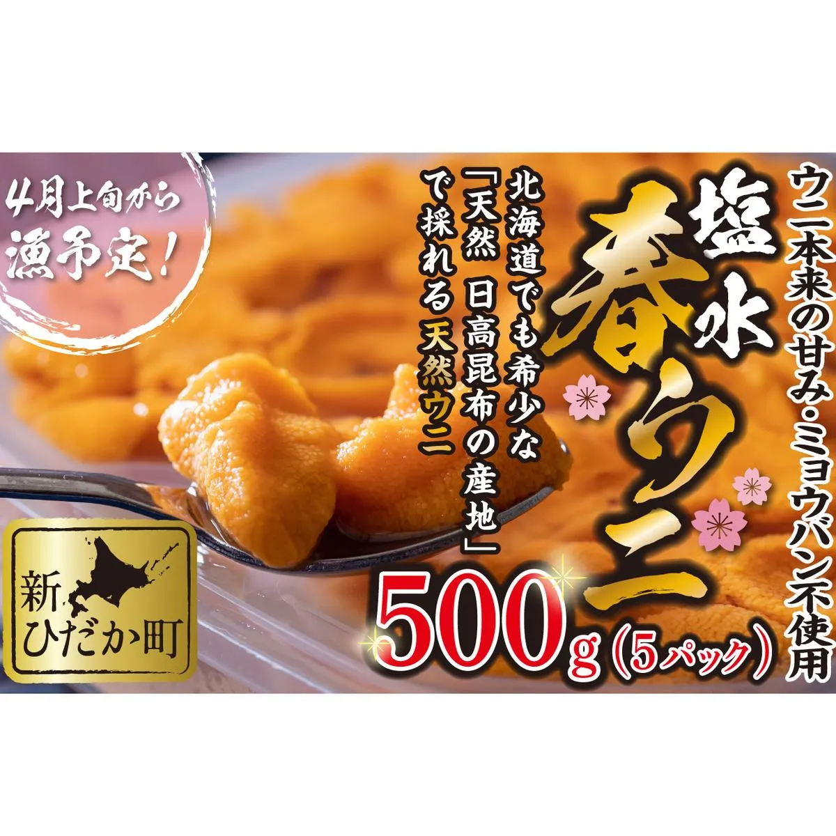 ＜ 2026年4月上旬より発送 ＞ うに 北海道 500g （ 100g × 5パック ） 使用するのは塩水のみ 日高沖産 塩水 生雲丹 春ウニ エゾバフンウニ ＜ 予約受付 ＞