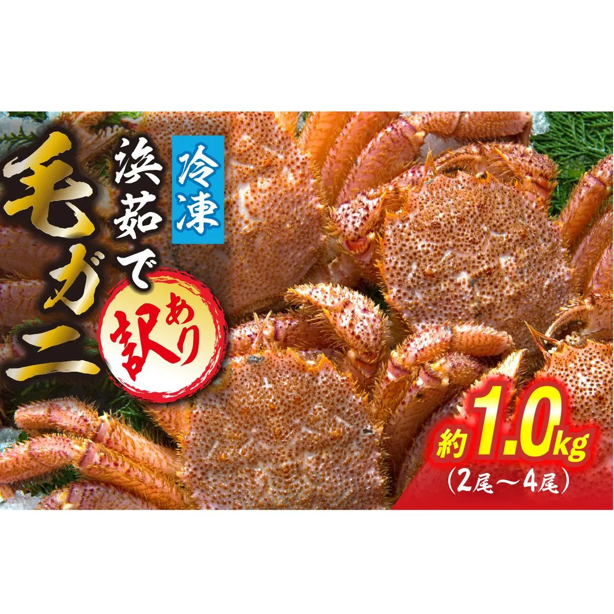 訳あり 北海道産 毛ガニ 冷凍 ボイル 約 1kg （ 2～4尾 ） 毛蟹 毛がに かに カニ 蟹 かに味噌 カニ味噌 海鮮 海産物 わけあり 訳アリ