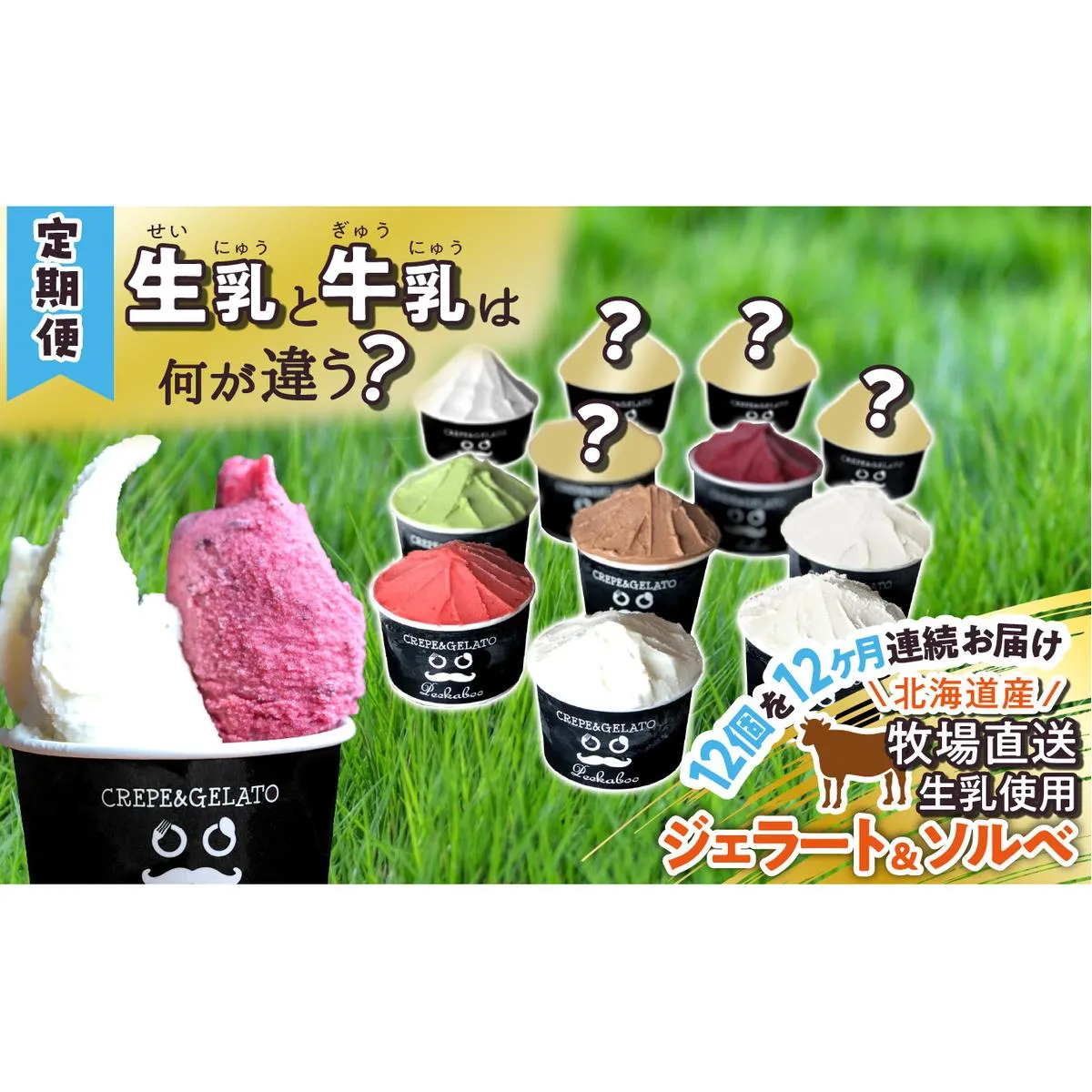 ＜12ヶ月定期便＞北海道産 生乳 ジェラート アイス 毎月12個  詰め合わせ ジェラートセット