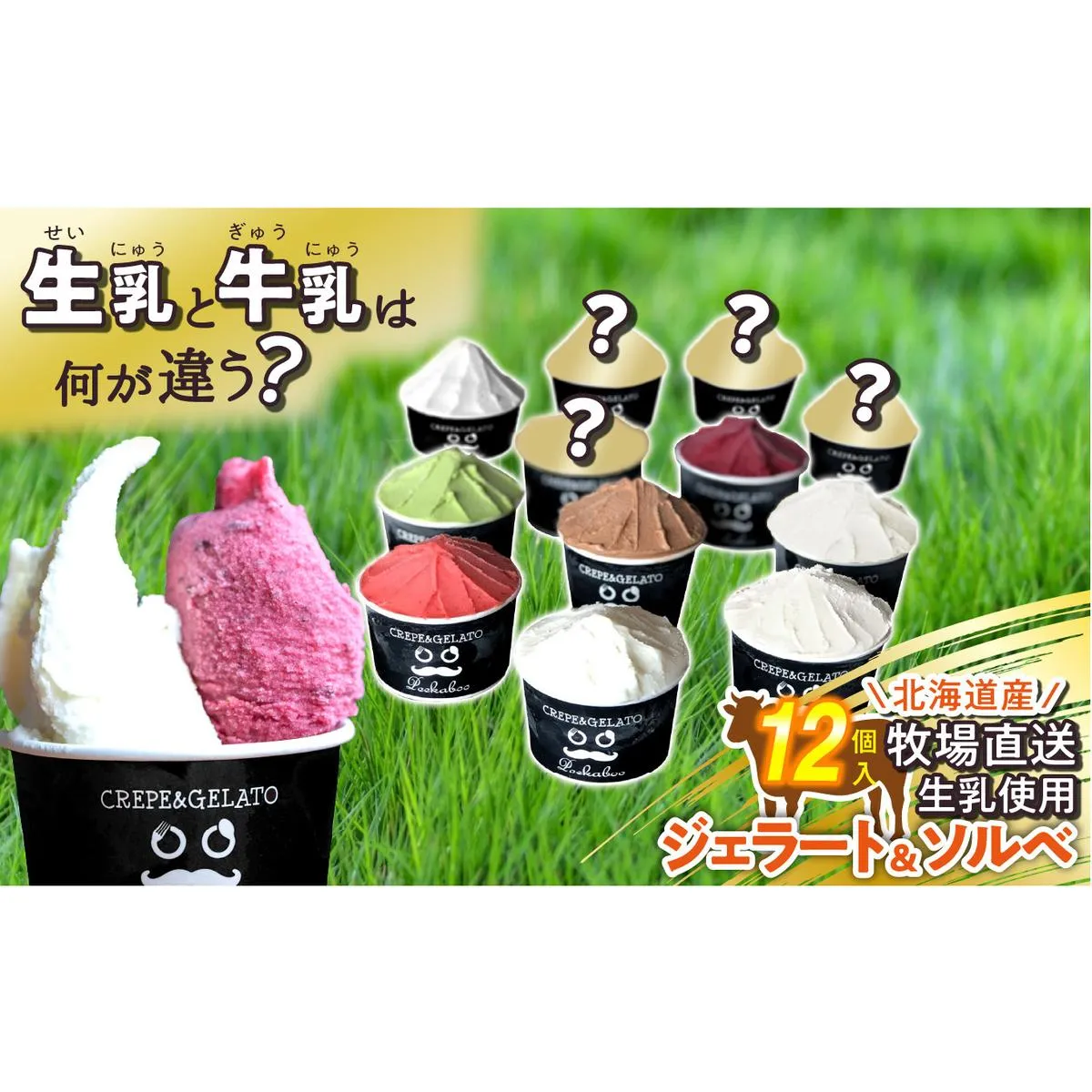 北海道産 生乳 ジェラート アイス 12個入り ジェラートセット
