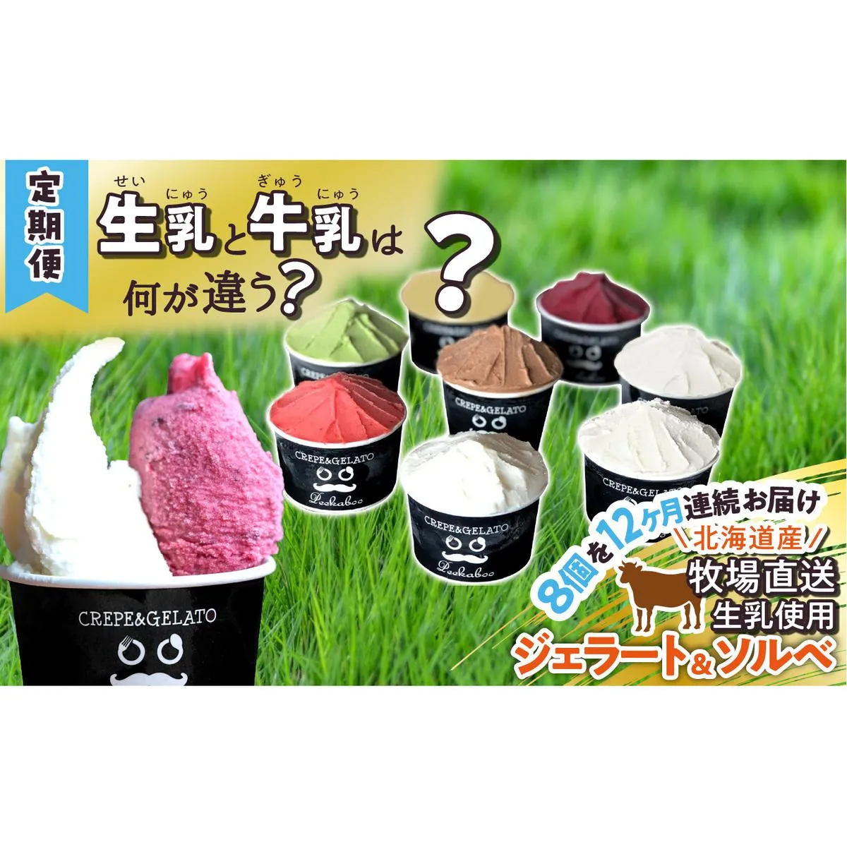 ＜12ヶ月定期便＞北海道産 生乳 ジェラート アイス 毎月8個  詰め合わせ ジェラートセット
