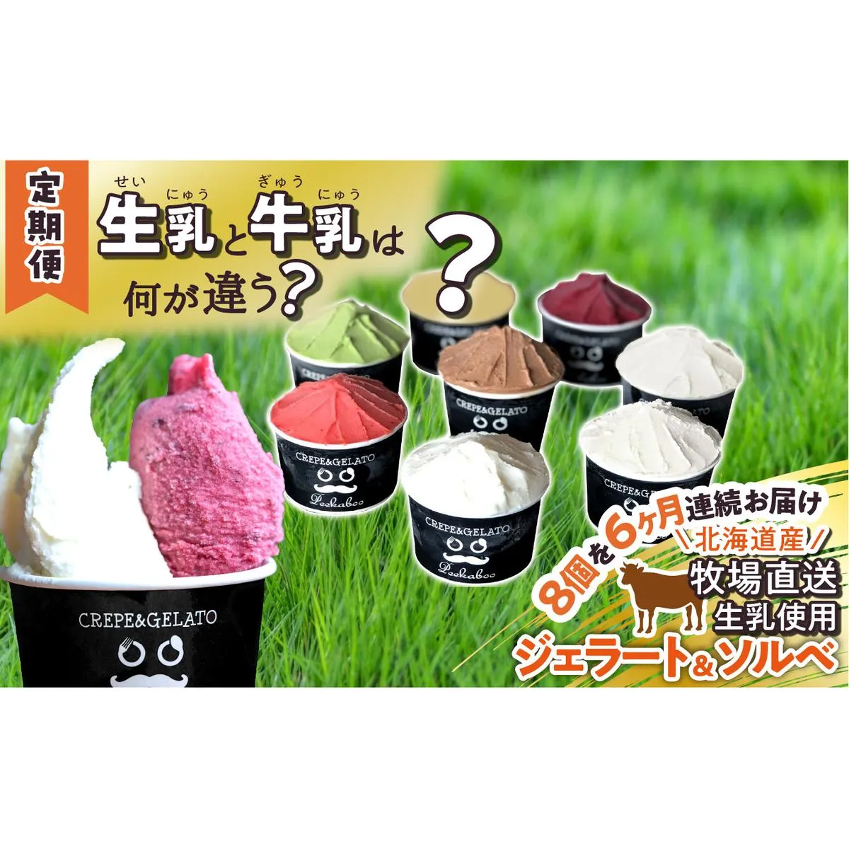 ＜6ヶ月定期便＞北海道産 生乳 ジェラート アイス 毎月8個  詰め合わせ ジェラートセット