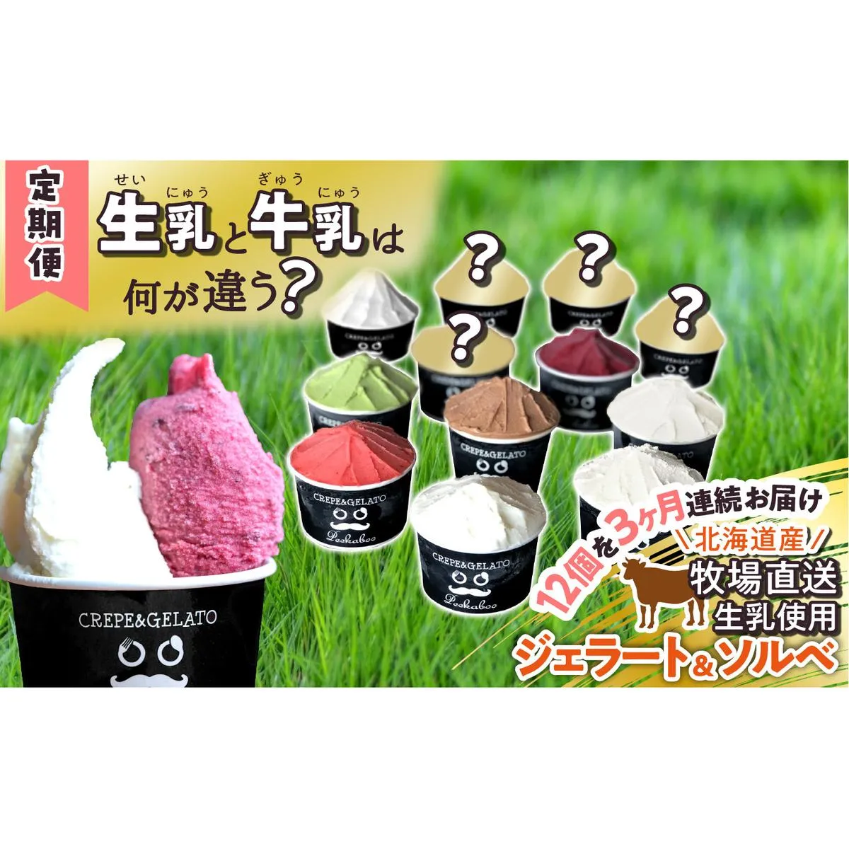 ＜3ヶ月定期便＞北海道産 生乳 ジェラート アイス 毎月12個  詰め合わせ ジェラートセット