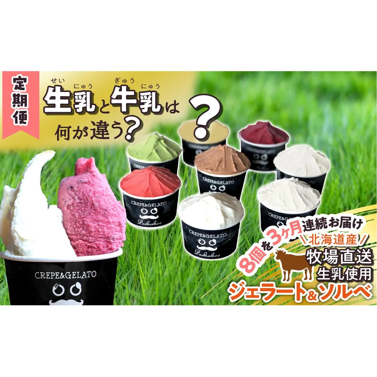 ＜3ヶ月定期便＞北海道産 生乳 ジェラート アイス 毎月8個  詰め合わせ ジェラートセット
