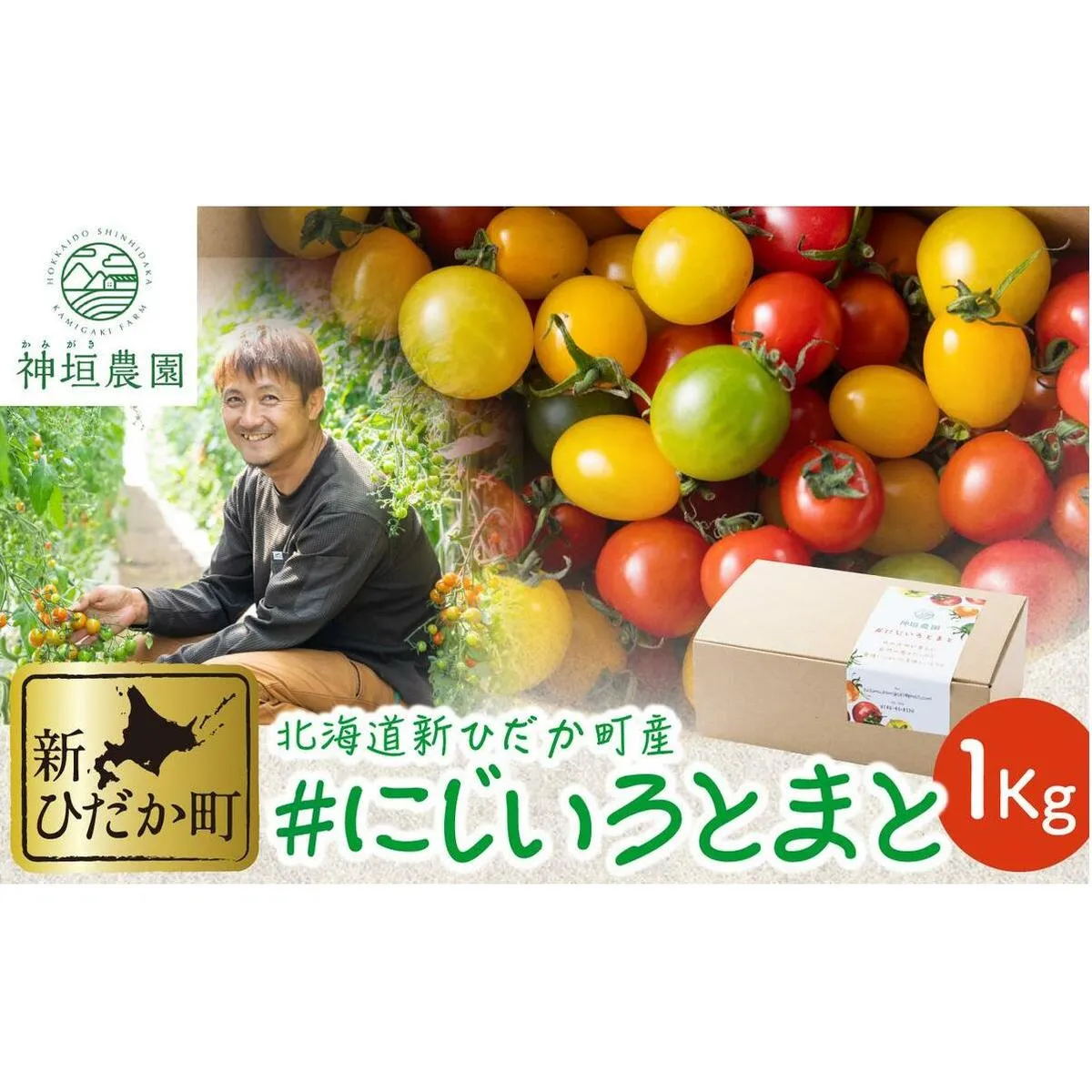 ＜ 2025年8月上旬より発送 ＞ 北海道産 カラフルトマト ミニトマト 1kg  ＃にじいろとまと ＜ 予約商品 ＞