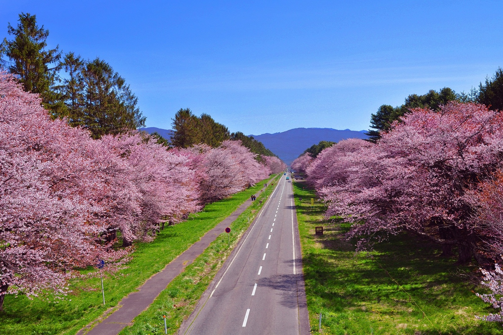 北海道新ひだか町