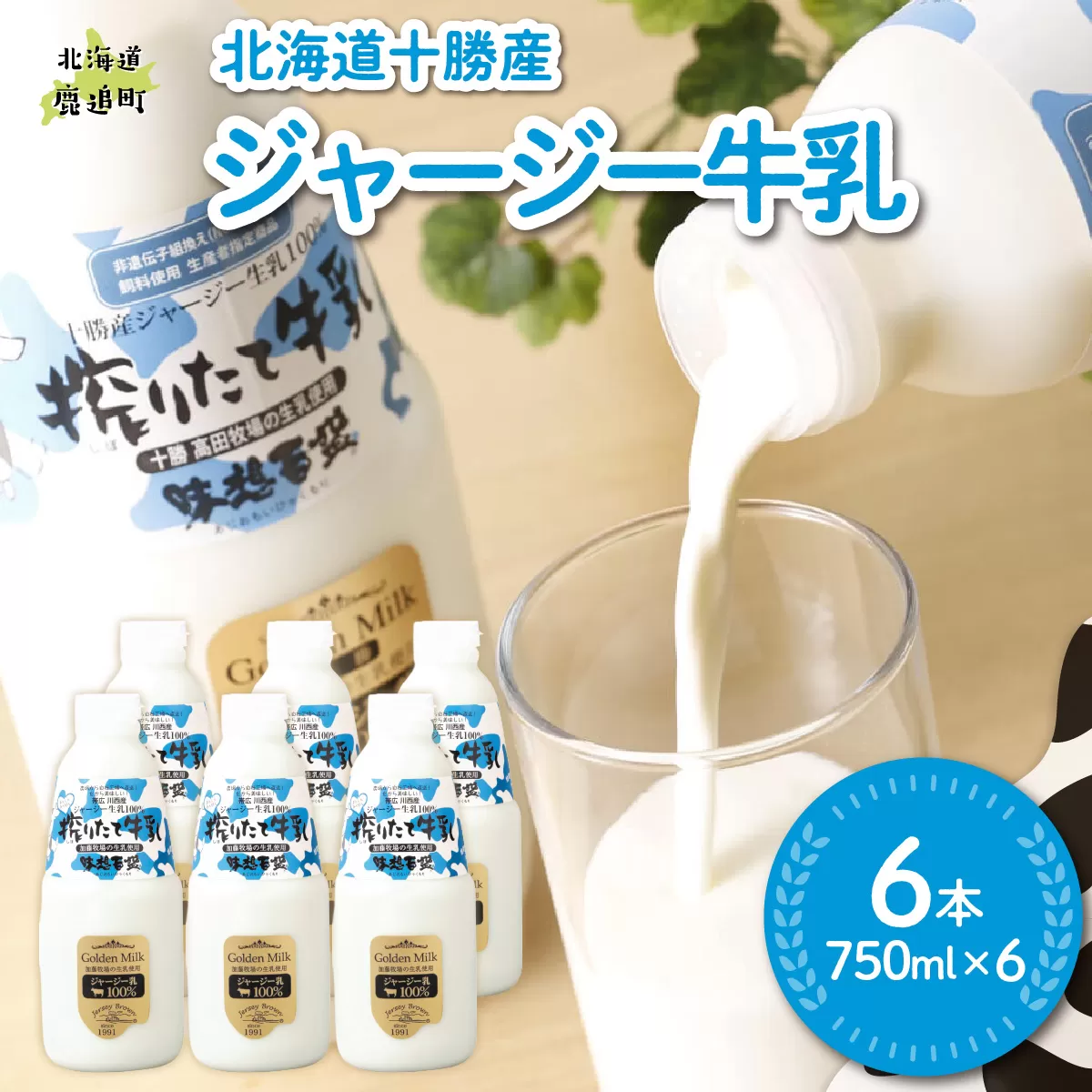 ジャージー牛乳 750ml ×6 SKM050