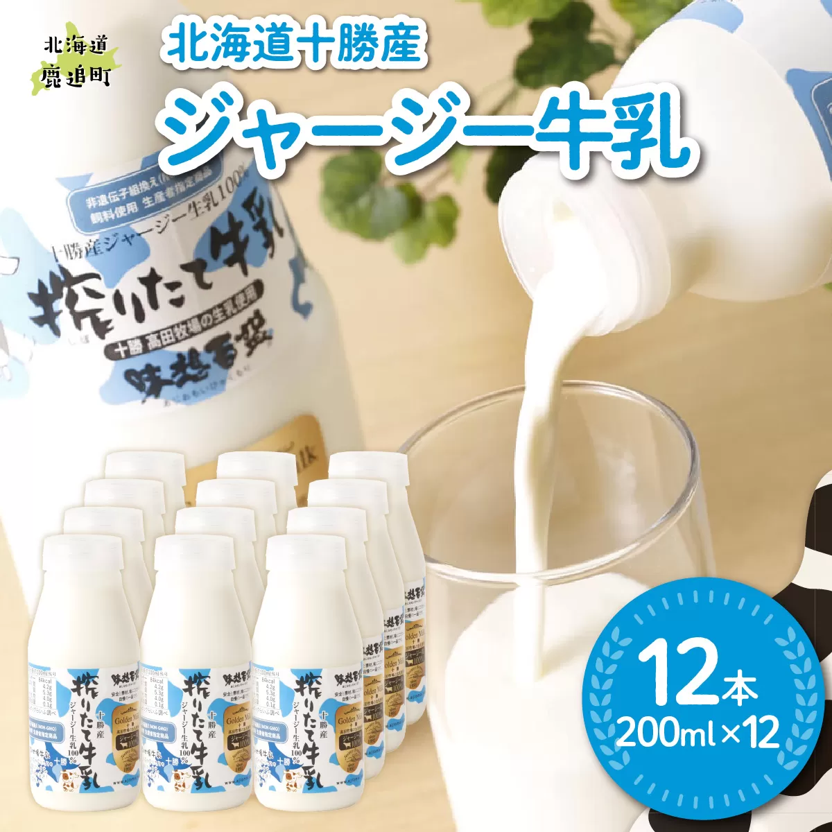 ジャージー牛乳 200ml ×12 SKM054