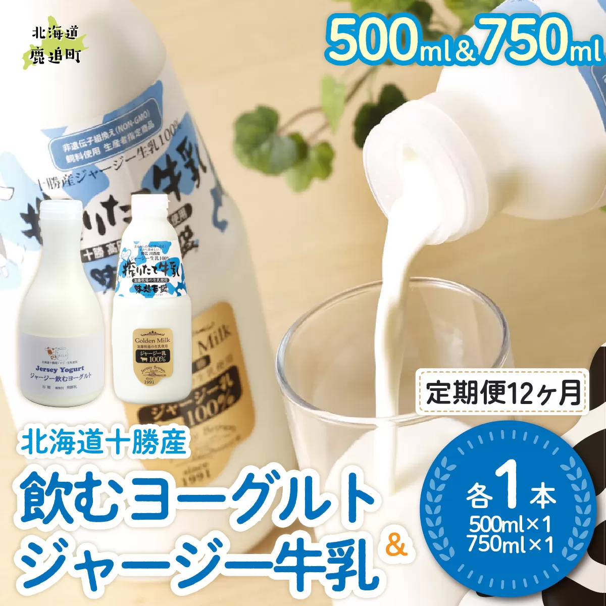 【定期12ヶ月】ジャージー飲むヨーグルト500ml ジャージー牛乳750ml 各1本 SKM065