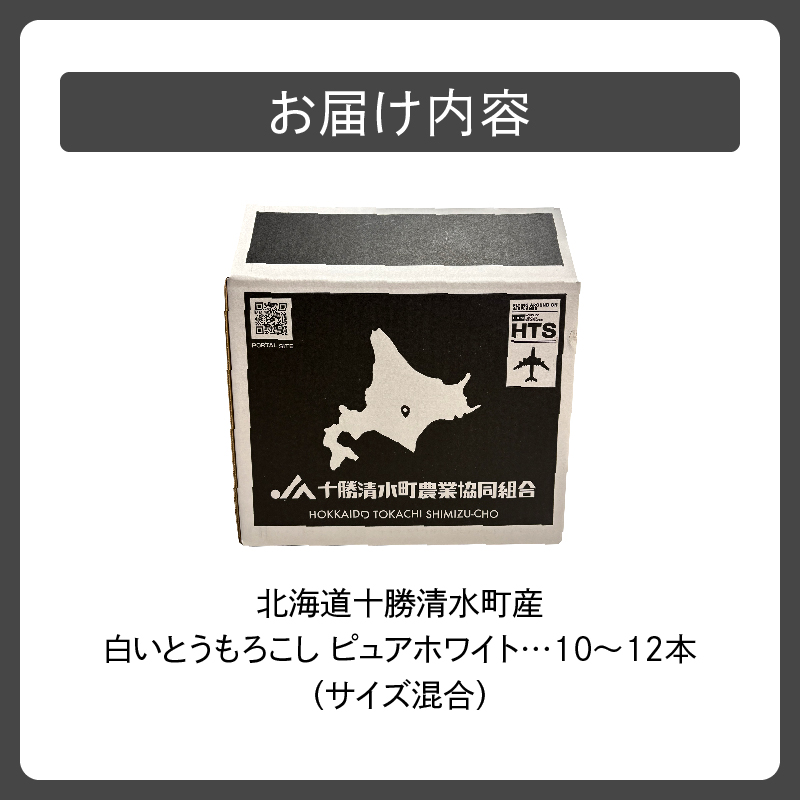 るんちゃん専用ホワイトとうもろこし６月発送予定‼️ 本日夜9時よりこちらのオンラインショップにて ホワイトコーンの