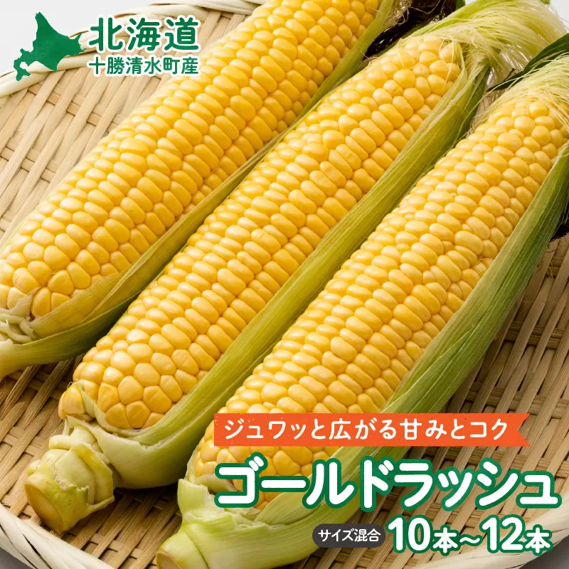 【2025年8月～発送開始！】北海道十勝清水町産 黄金の甘さ ゴールドラッシュ！サイズ混合 10～12本 北海道産 2025年 とうもろこし とうきび 産直 産地直送 清水町 北海道