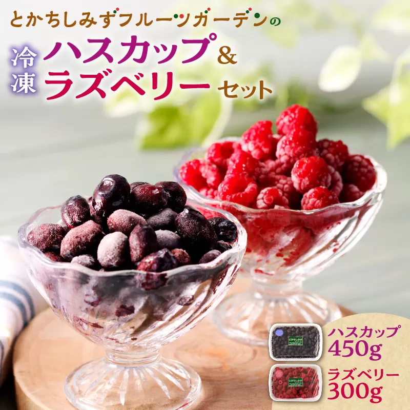 【2025年発送先行予約！】とかちしみず フルーツガーデン の ハスカップ 450g & ラズベリー 300g セット 【 計750g 詰め合わせ ハスカップ ラズベリー 冷凍ハスカップ フランボワーズ 木苺 生 果物 フルーツ ジャム 甘酸っぱい 冷凍 お取り寄せ 北海道 清水町  】