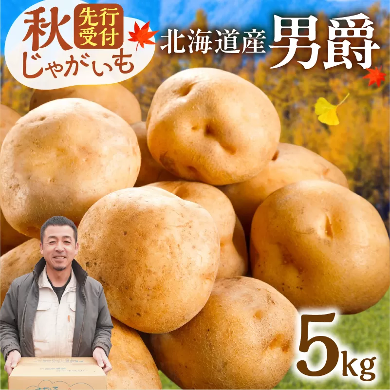  先行受付！やっぱり定番！ホクホク食感が魅力の「男爵いも」ホクホク！しっとりなめらか！ 【北海道産 男爵 いも じゃがいも 男爵いも 約5kg じゃがいも いも 芋 産地直送 秋】