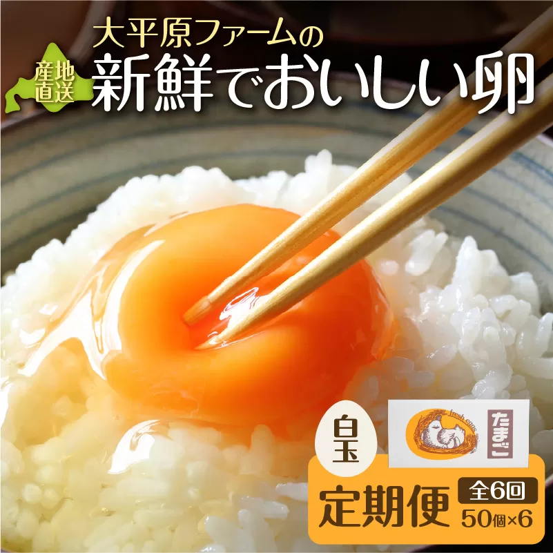 【6回定期便】大平原ファームの新鮮でおいしい卵 計50個(白卵)×6ヶ月【 北海道 清水 卵 300個 こだわり卵 卵かけご飯 玉子 タマゴ 卵焼き TKG 温泉卵 オムレツ ゆでたまご 栄養満点  国産 定期便 】