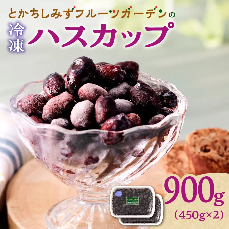 【2025年発送先行予約！】とかちしみず フルーツガーデン の ハスカップ 900g 【 450g × 2 生 果物 ハスカップ 冷凍ハスカップ フルーツ ジャム 甘酸っぱい 冷凍 お取り寄せ 北海道 清水町  】