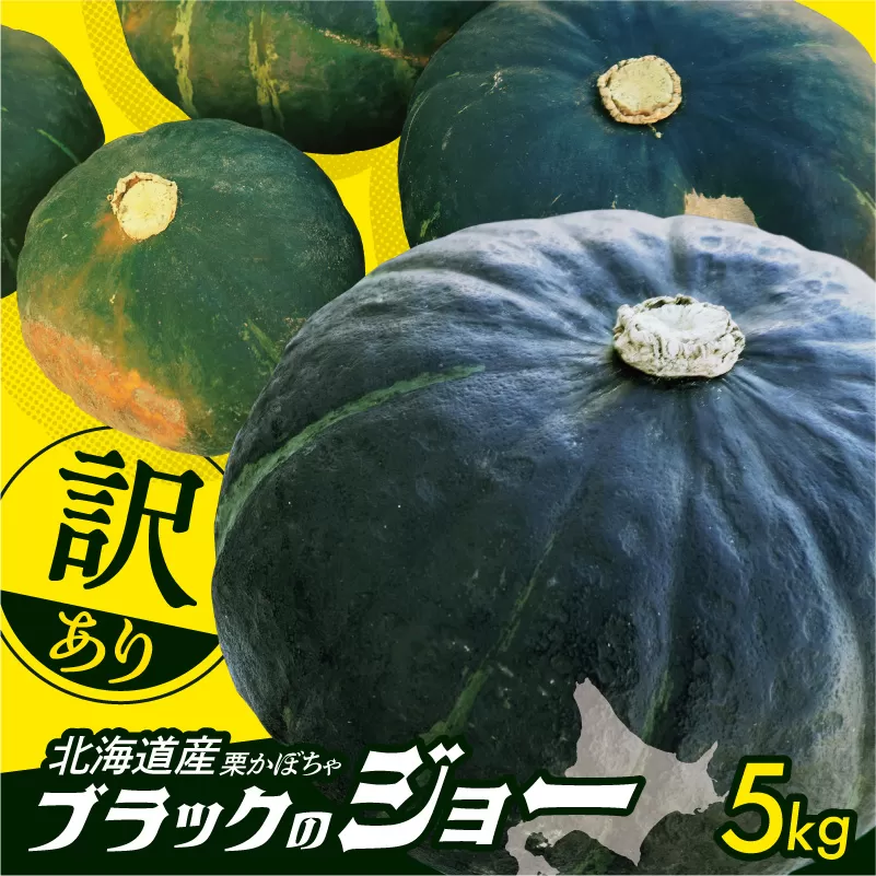 先行受付！12月頃～発送開始！北海道十勝清水町産 生産者応援！【訳あり】ホクホク！栗かぼちゃ！ブラックのジョー 5kg 北海道産 かぼちゃ カボチャ 冬至 _S021-0031