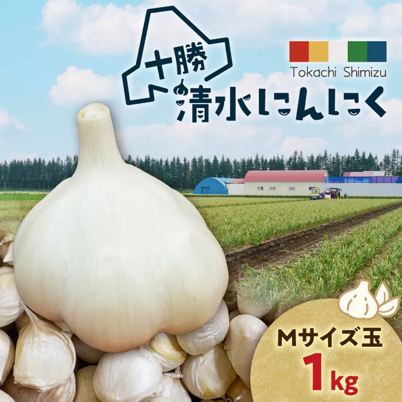 【北海道産】十勝育ちのにんにく Mサイズ(玉) 1kg にんにく ニンニク ガーリック にんにく 北海道産 にんにく_S021-0020