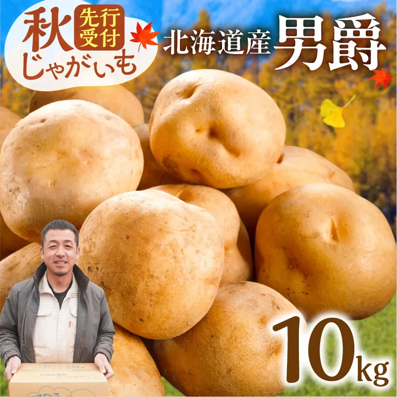 先行受付！やっぱり定番！ホクホク食感が魅力の「男爵いも」 ホクホク！しっとりなめらか！ 【北海道産 男爵 いも じゃがいも 男爵いも 約10kg じゃがいも いも 芋 産地直送 秋】