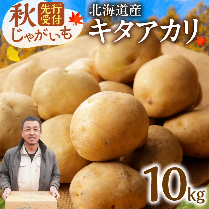 先行受付！北海道の味覚定番！鮮やかな黄色と甘みが特徴の「キタアカリ」 ホクホク！しっとりなめらか！ 【北海道産 キタアカリ いも じゃがいも きたあかり イモ 約10kg じゃがいも いも 芋 産地直送 秋】