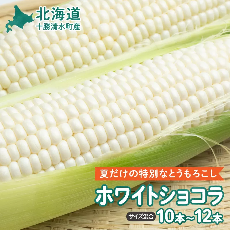【2025年8月～発送開始！】北海道十勝清水町産 白いとうもろこし ホワイトショコラ サイズ混合 10～12本 【北海道産 2025年 とうもろこし とうきび 産直 産地直送 清水町 北海道】