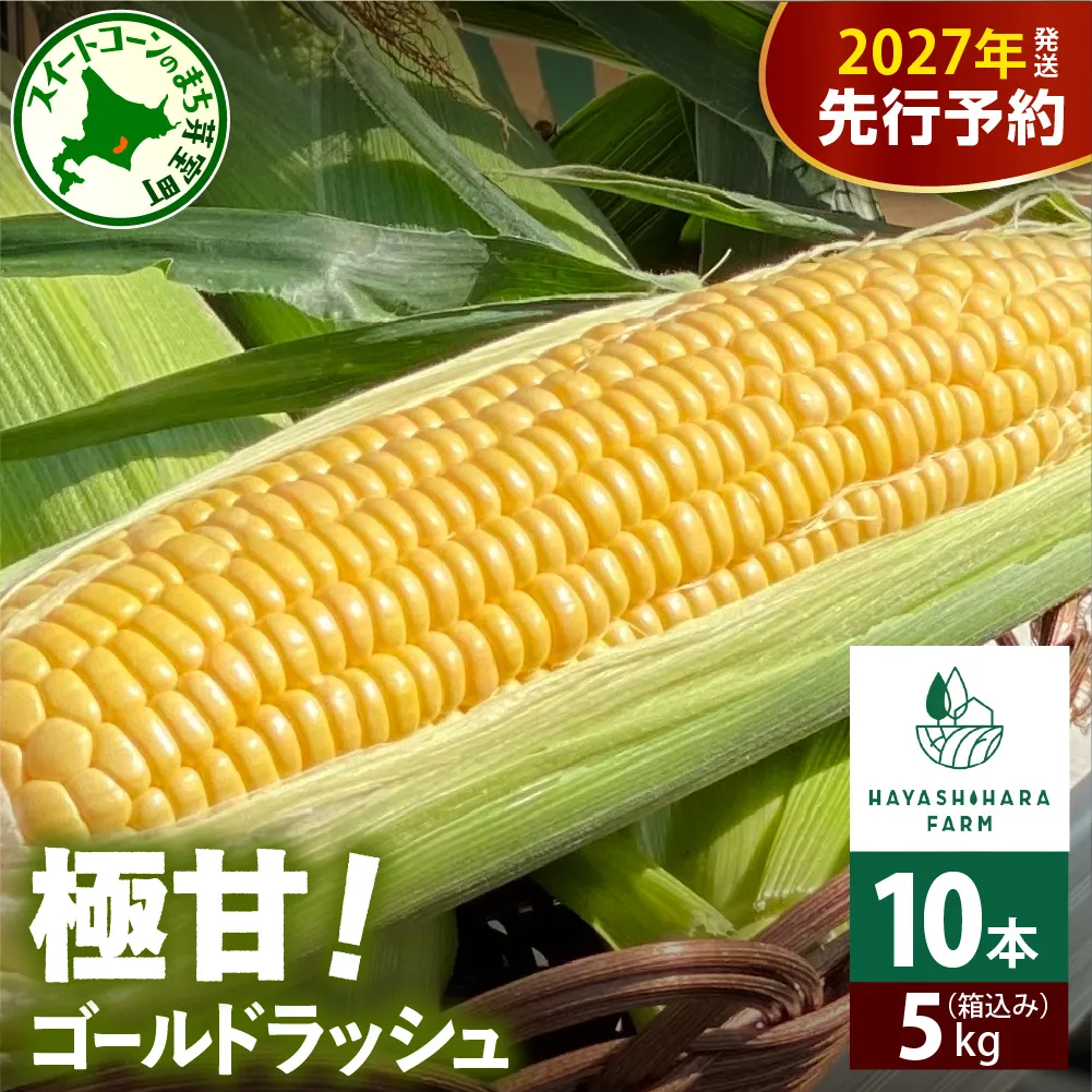 【2027年8月1日～15日まで配送】北海道十勝芽室町 極甘とうもろこし ゴールドラッシュ 10本  me028-001-27b／北海道産 期間限定 とうきび コーン フレッシュ 甘い 産地直送 特産 特産品 北海道産 道産 お取り寄せ 冷蔵 送料無料 国産
