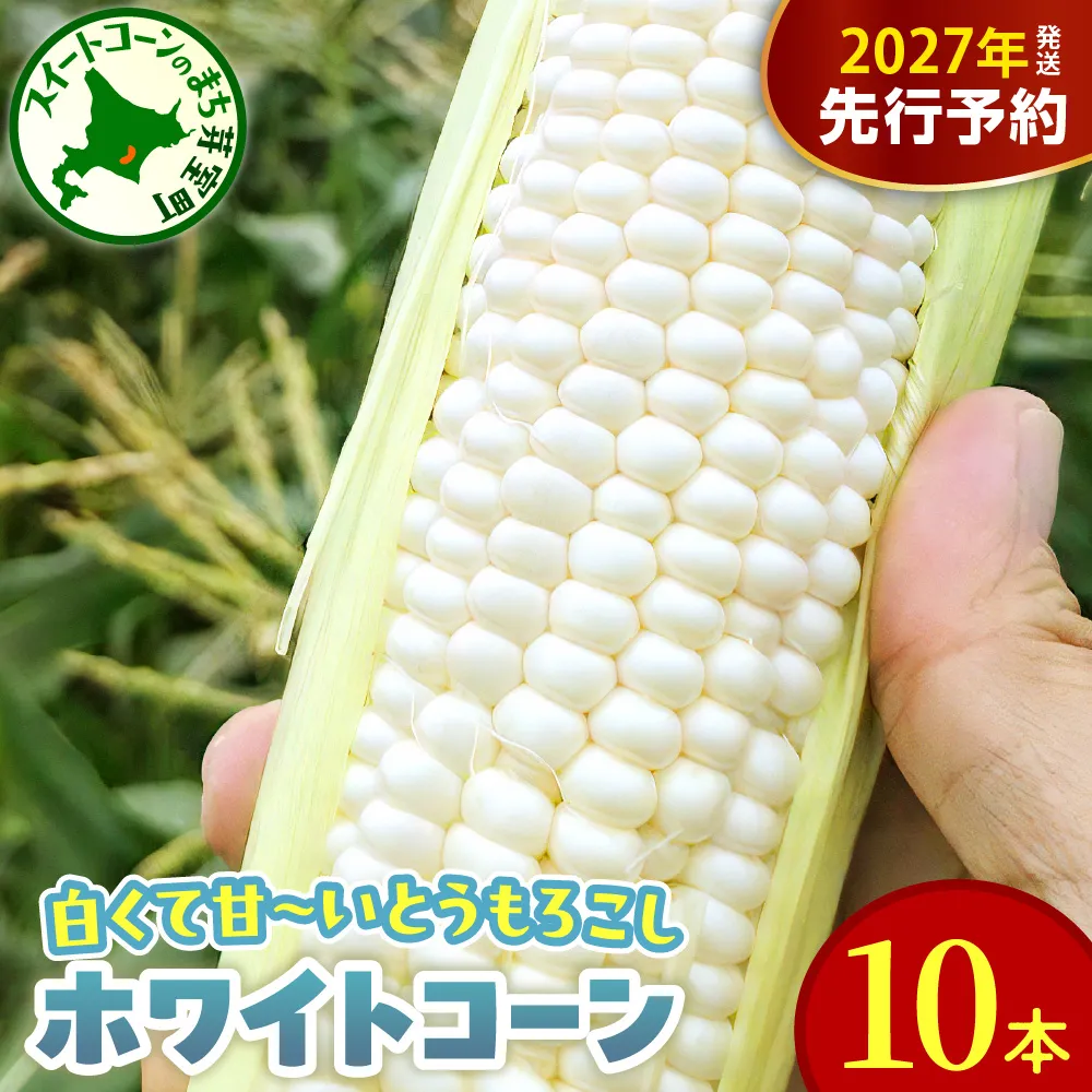 【先行受付】【2027年8月10日頃～8月下旬配送】北海道 十勝芽室町 とうもろこし ホワイトコーン 10本セット me078-004-27b／白色 コーン とうもろこし 朝採り 産地直送 とうきび 甘い 生 野菜 産地直送 冷蔵 送料無料 期間限定 数量限定 人気 おすすめ