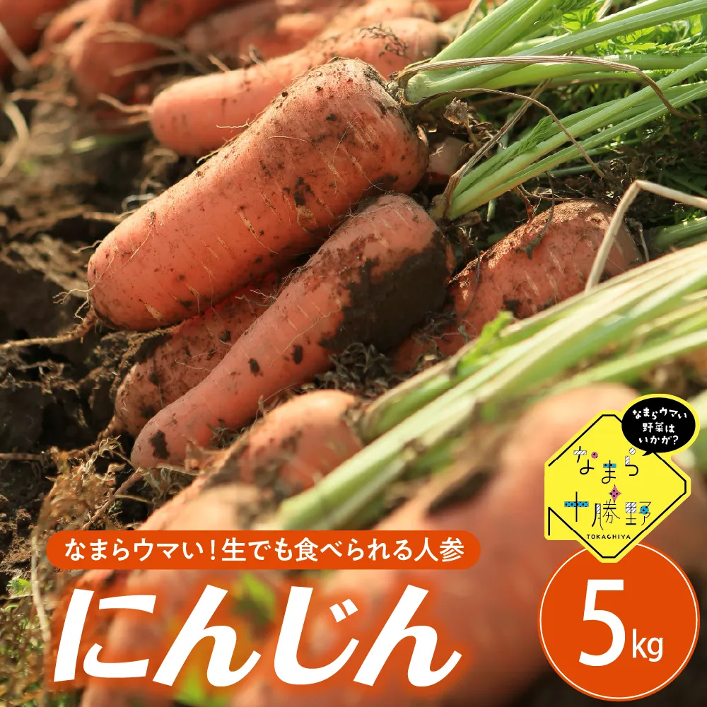 【10月上旬より発送】北海道十勝芽室町 なまら十勝野 芽室町産にんじん５kg me001-030b