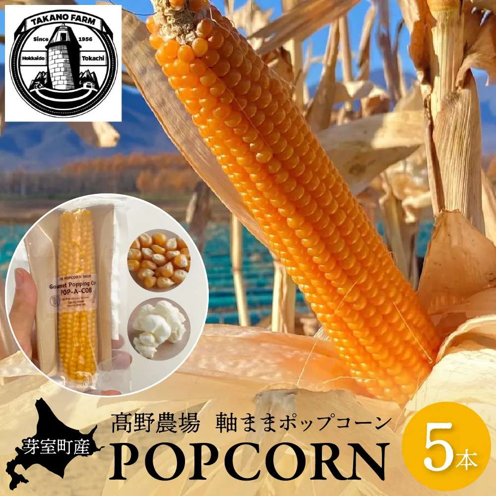 手軽で美味しい！北海道十勝芽室町 ポップコーン イエロー５本 me066-004b