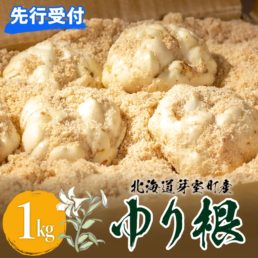 【2026年産】北海道十勝芽室町 ゆり根 1kg（Lサイズ９玉入り1kg×1箱） me010-001-26b