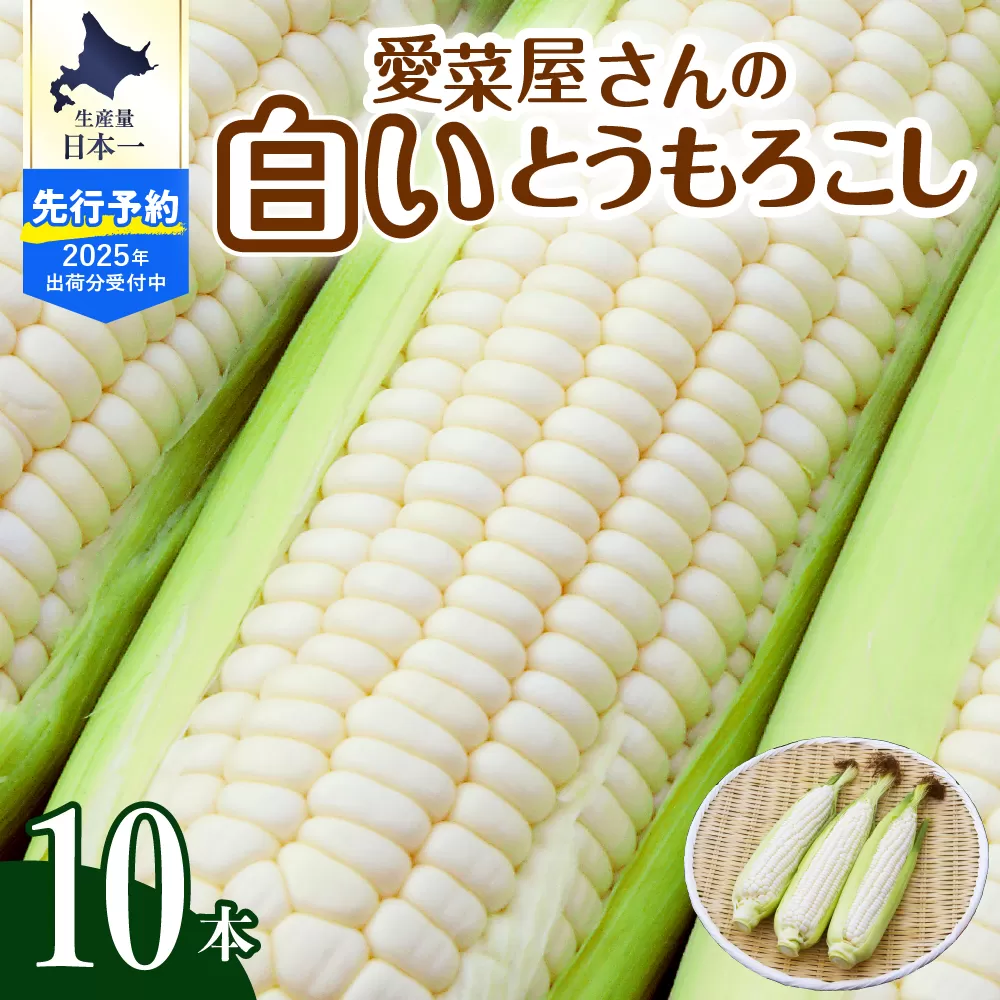 【先行予約】【2025年産】北海道十勝芽室町 とうもろこし 10本 ホワイト種 me002-005c-25