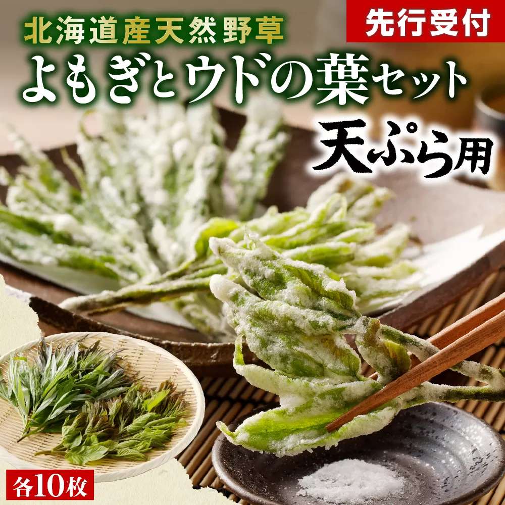 【先行受付】【2026年5月発送】北海道十勝芽室町 天ぷら用 ヨモギとウドの葉セット me011-006c