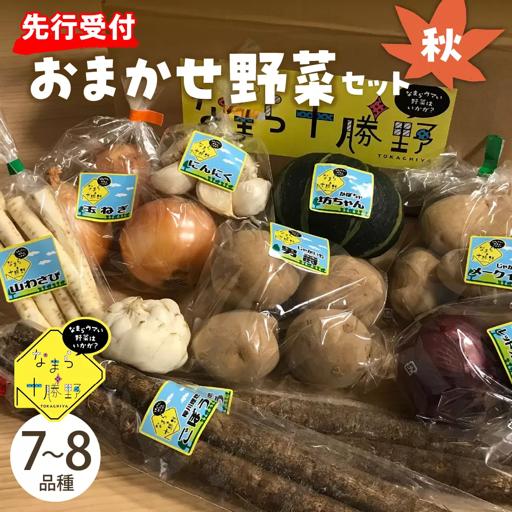 【先行受付】【2025年10月より配送】北海道十勝芽室町 なまら十勝野の季節のおまかせ野菜セット（秋） me001-004c