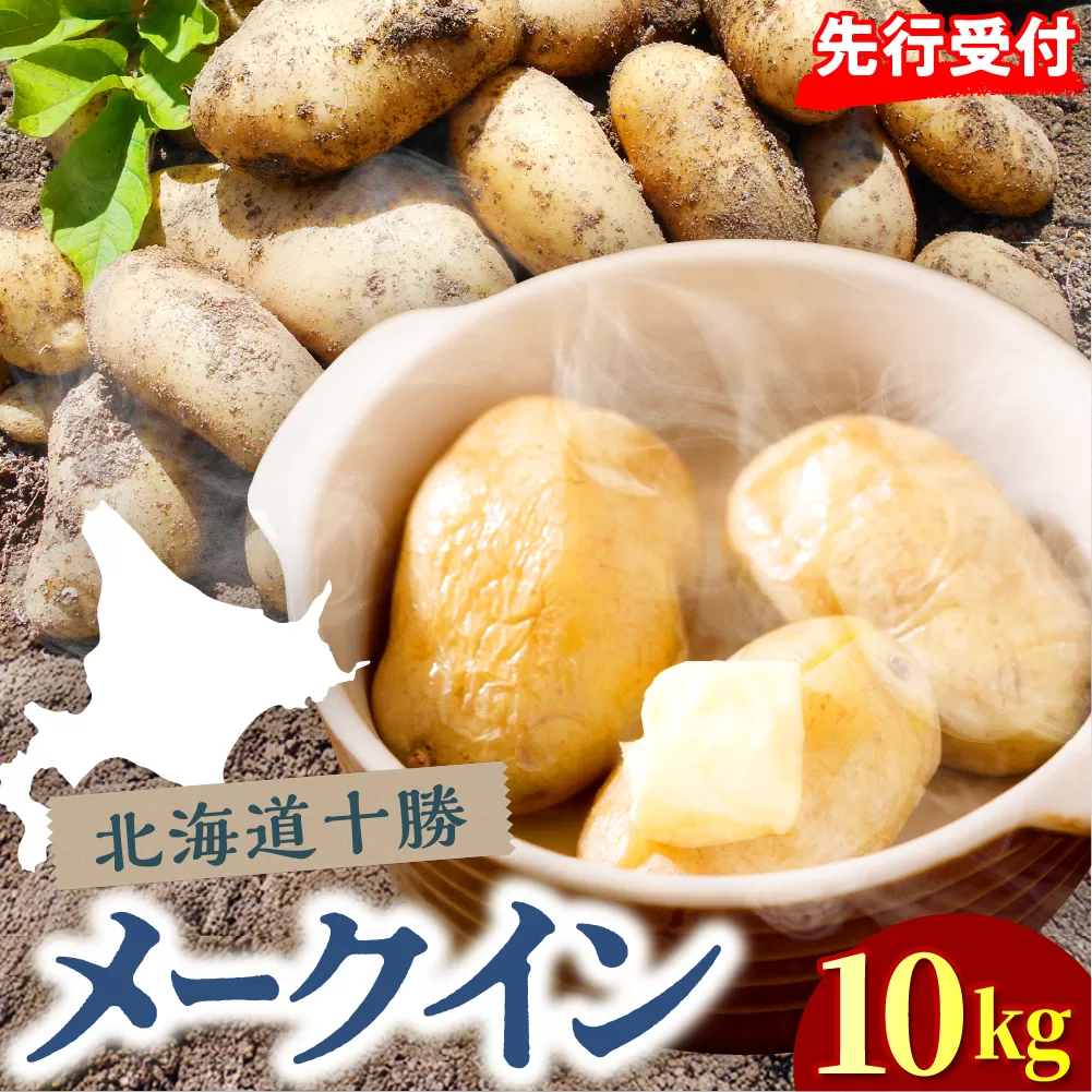 【先行受付】【2026年10月下旬より順次出荷】北海道 十勝芽室町 メークイン Mサイズ 10kg me078-007c-26