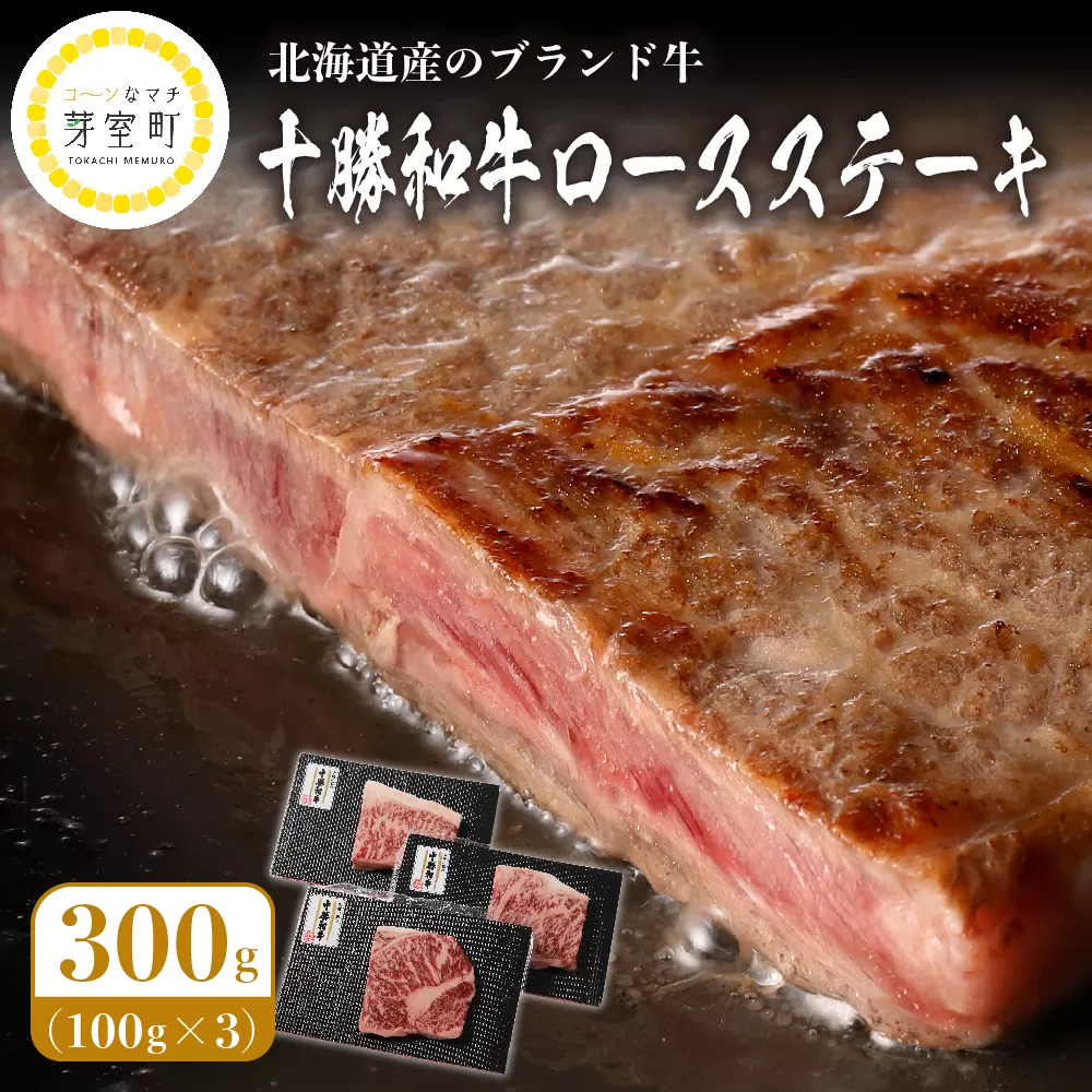 北海道十勝和牛ロースステーキ 100g×3枚 me040-001c